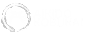 Aikido Kobukai | Sensei Salvador Chaves